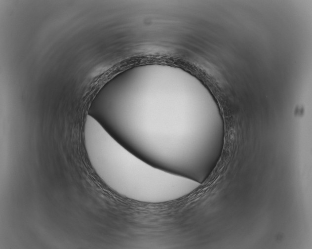 X0000090910869200707301030