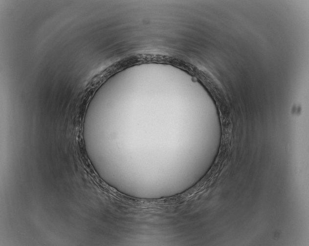 X0000090910870200707301030