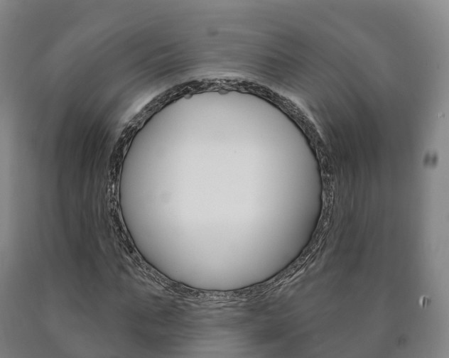 X0000090910871200707301030