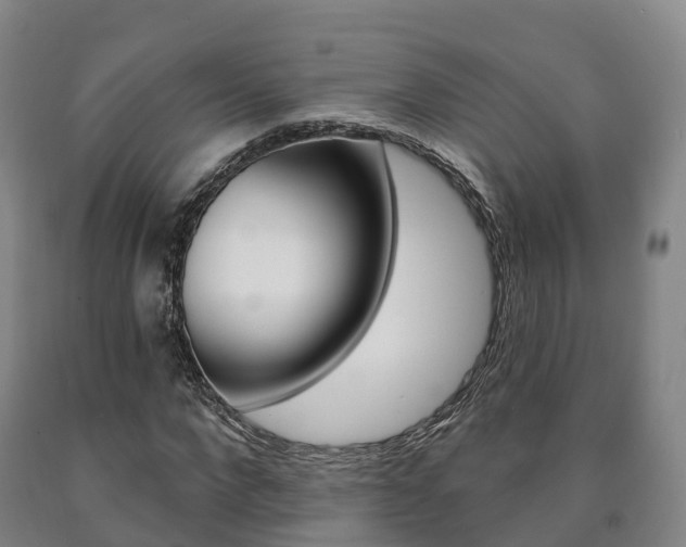 X0000090910872200707301030