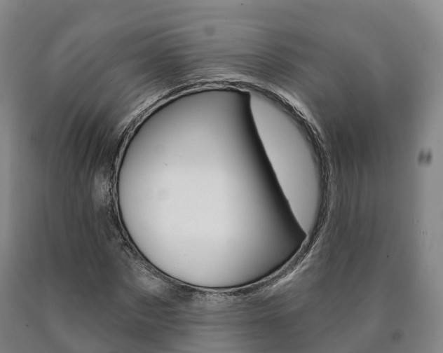X0000090910873200707301030