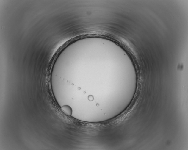 X0000090910875200707301030