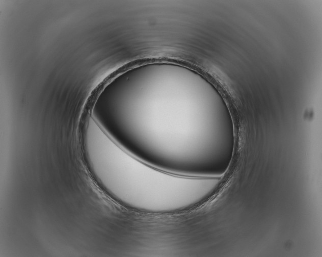 X0000090910876200707301030