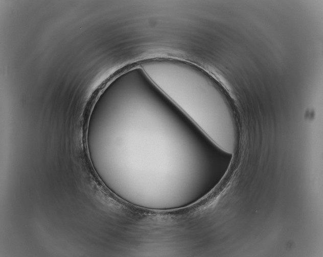 X0000090910877200707301030