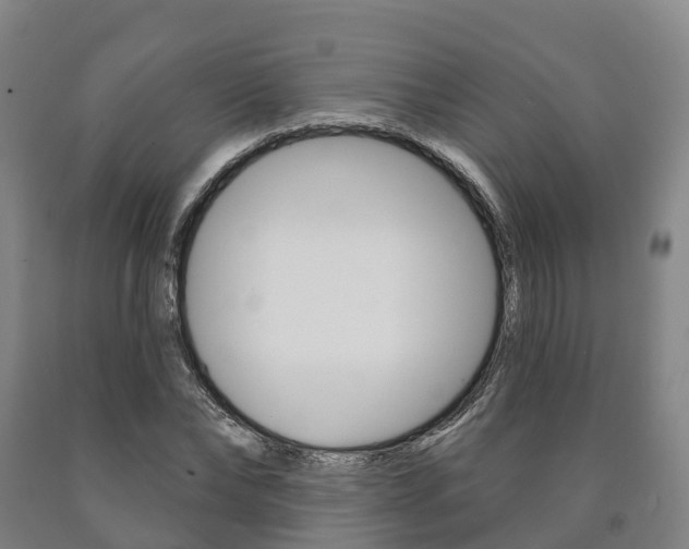 X0000090910878200707301030