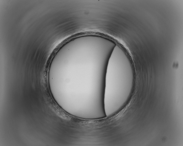 X0000090910879200707301030