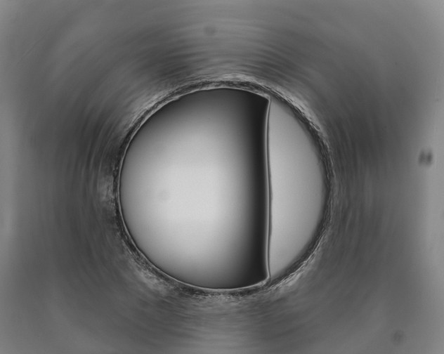 X0000090910881200707301030