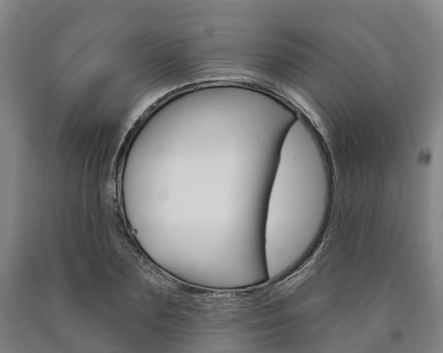 X0000090910883200707301030