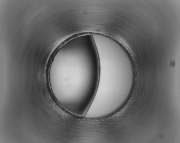 X0000090910884200707301030