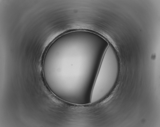 X0000090910885200707301030