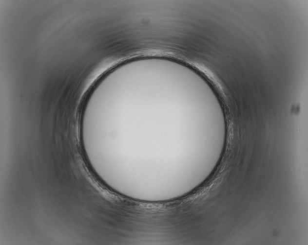 X0000090910886200707301030