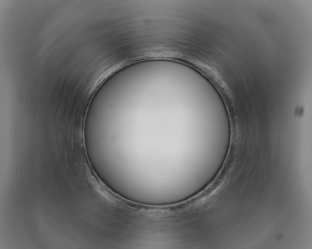 X0000090910889200707301030