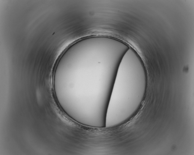 X0000090910891200707301030