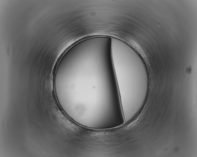 X0000090910892200707301030