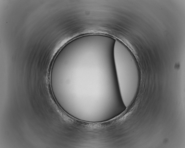 X0000090910893200707301030