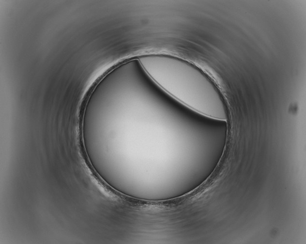 X0000090910894200707301030