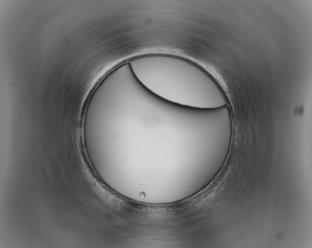 X0000090910895200707301030