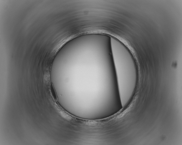 X0000090910897200707301030