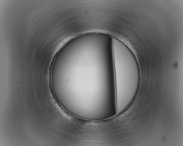 X0000090910898200707301030