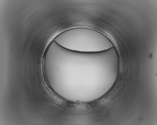 X0000090910899200707301030
