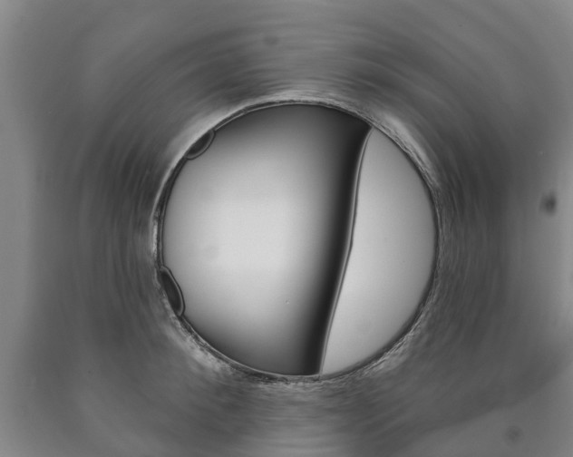 X0000090910900200707301030
