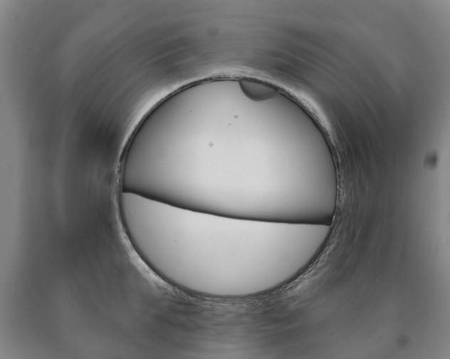 X0000090910903200707301030