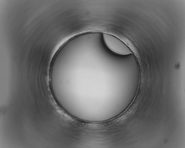 X0000090910904200707301030