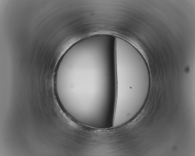 X0000090910906200707301030