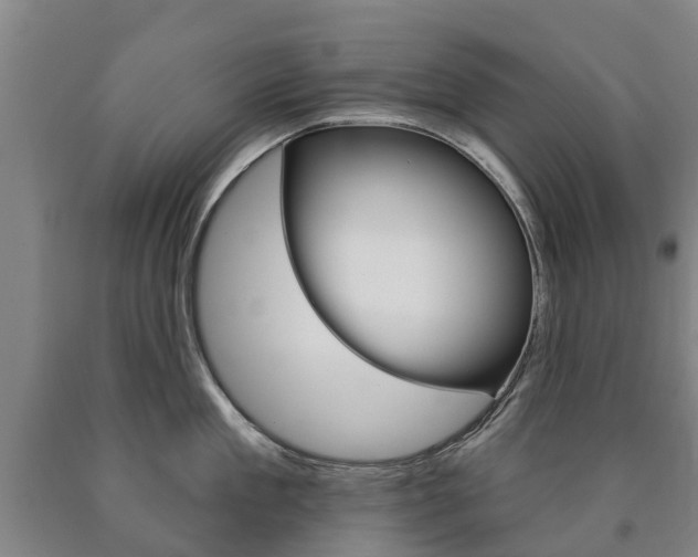 X0000090910909200707301030