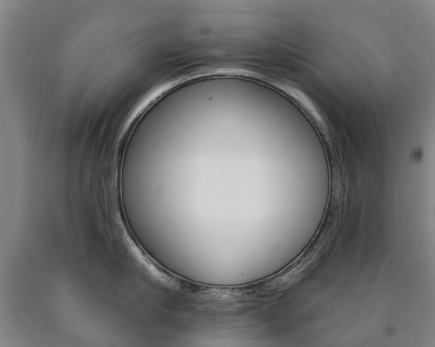 X0000090910910200707301030