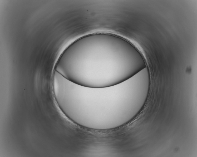 X0000090910911200707301030