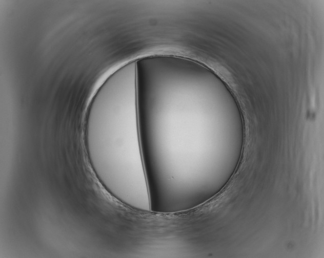 X0000090910912200707301030
