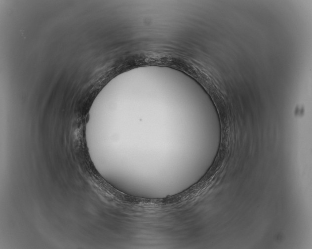 X0000090910914200707301029