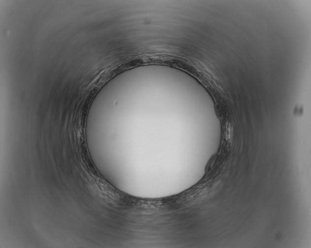 X0000090910915200707301029