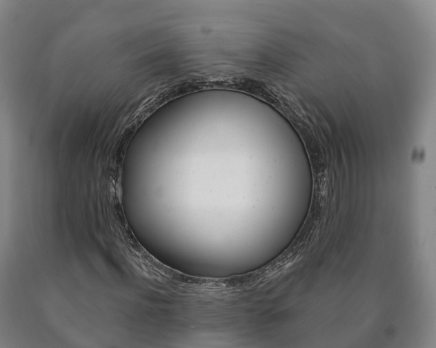 X0000090910916200707301029