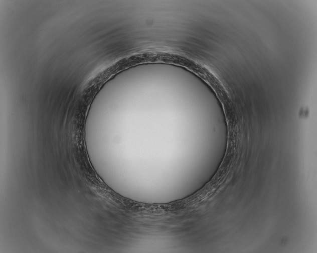 X0000090910919200707301029