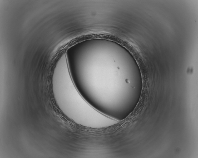 X0000090910920200707301029