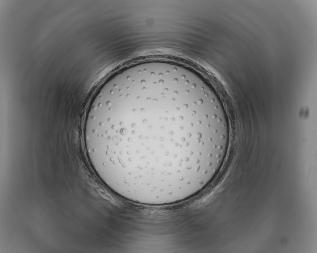 X0000090910921200707301029