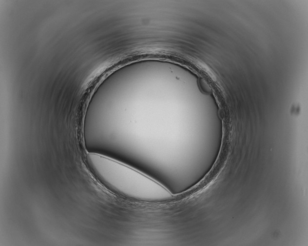 X0000090910922200707301029