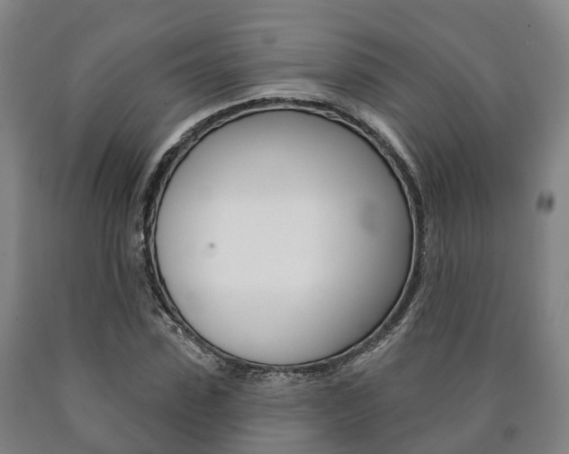 X0000090910923200707301029