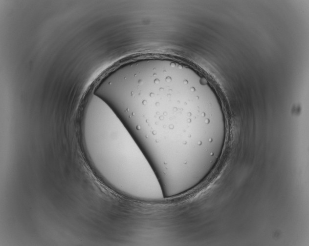 X0000090910925200707301029