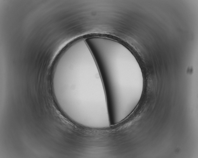 X0000090910926200707301029