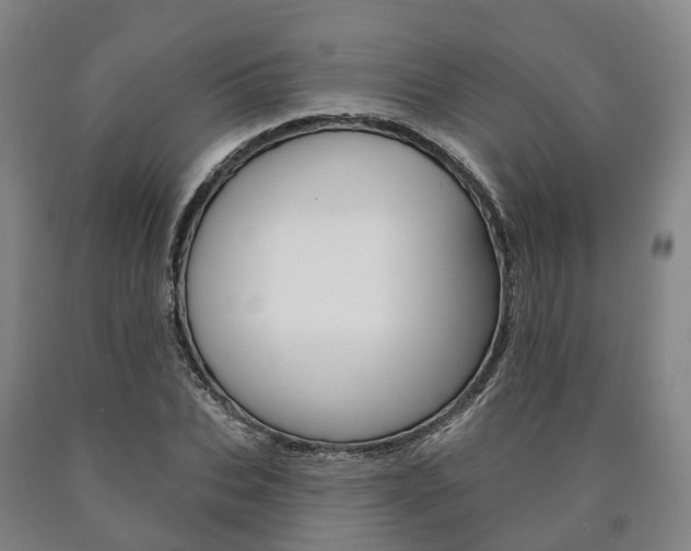 X0000090910927200707301029
