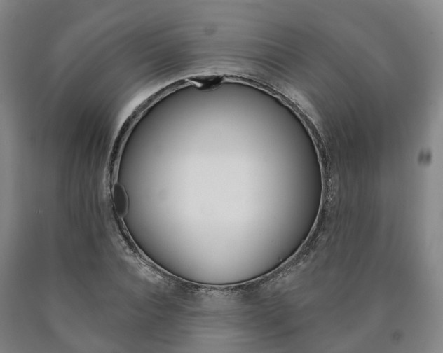 X0000090910928200707301029