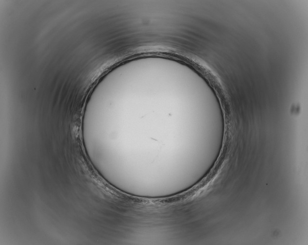 X0000090910929200707301030