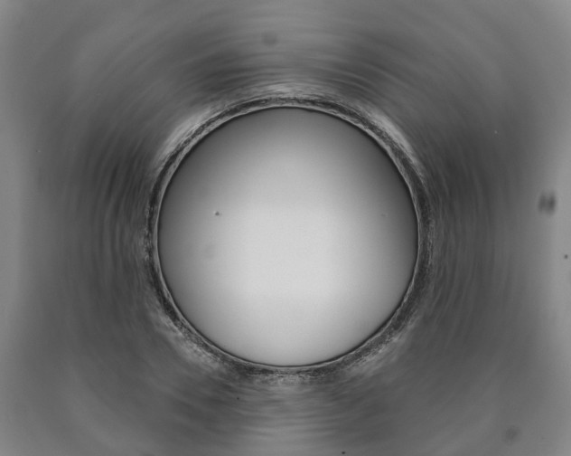 X0000090910930200707301030