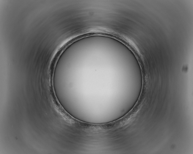 X0000090910931200707301030
