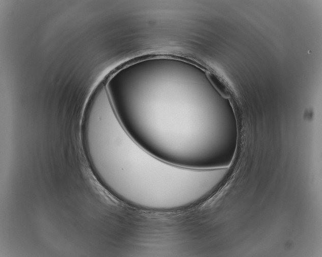 X0000090910932200707301030