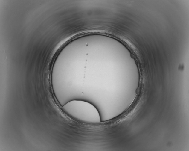 X0000090910933200707301030
