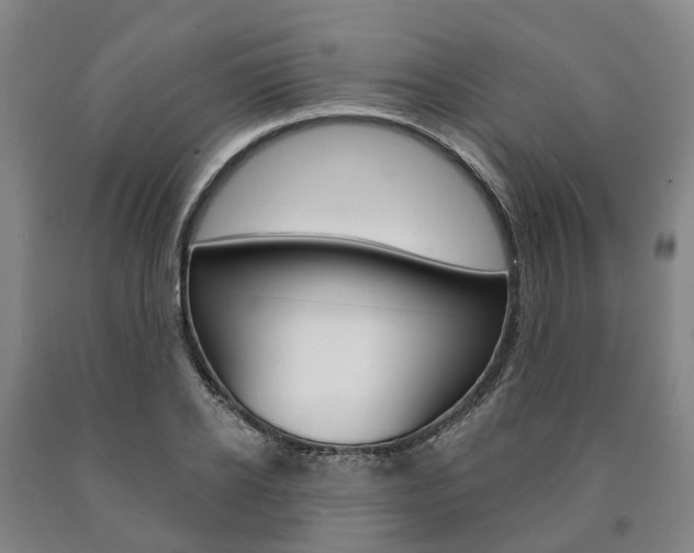 X0000090910934200707301030